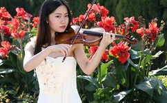 海贼王全集百度影音